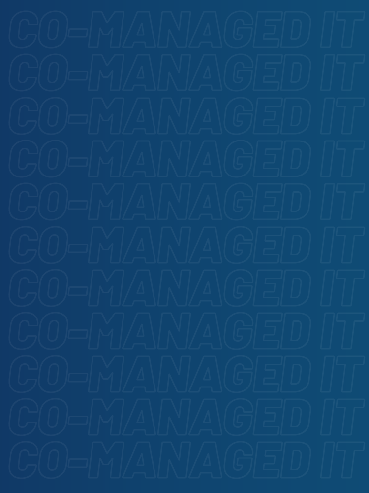 Comanaged IT Services