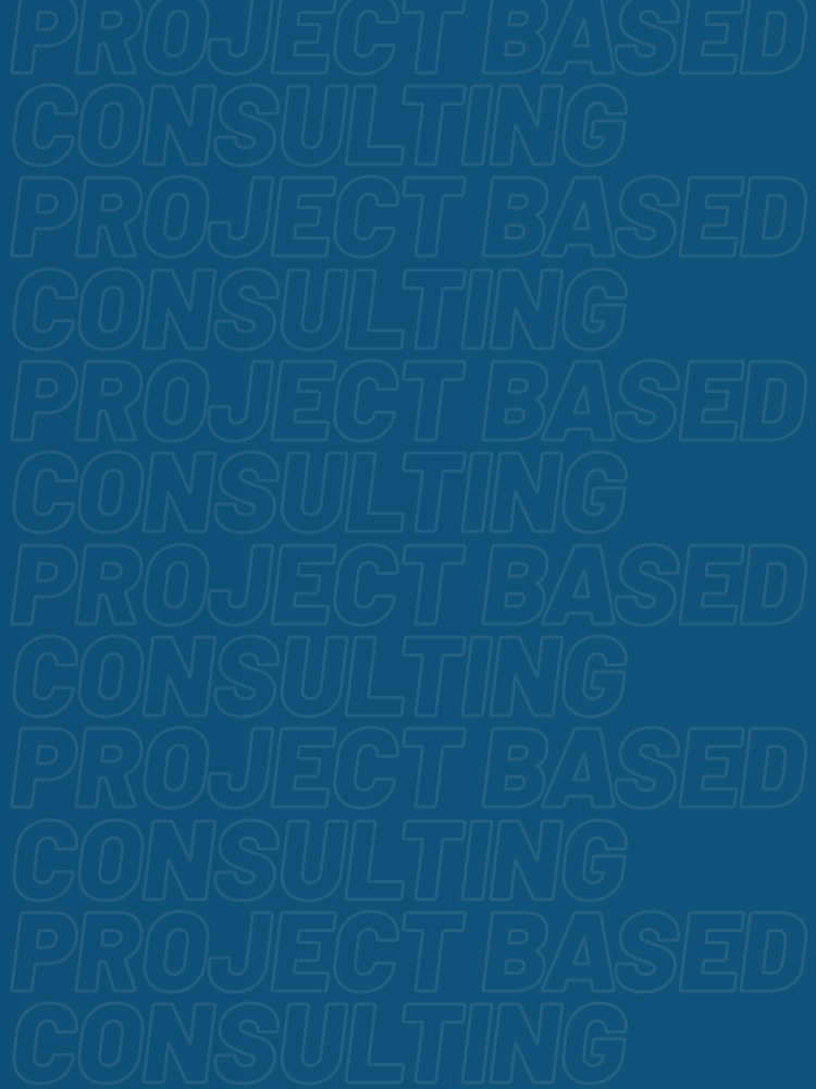 Project Based IT & Consulting Services